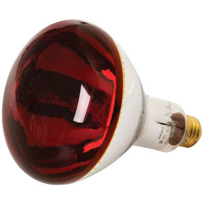 GE 250-Watt BR40 Red Heat Lamp Bulb