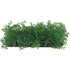 Penn Plax Green Bunch Plants Small - 1 count