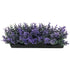 Penn Plax Purple Bunch Plants Small - 1 count