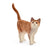 Schleich Farm World Cat