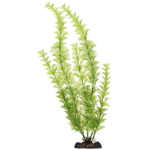 Penn Plax Sinkers Flowering Cabomba Aquarium Plant Green - 18" tall