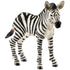 Schleich Wild Life Zebra Foal