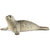 Schleich Wild Life Seal