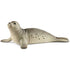 Schleich Wild Life Seal