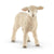 Schleich Farm World Lamb