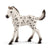 Schleich Horse Club Knapstrupper Foal