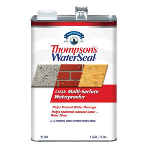Thompson's WaterSeal 1 Gallon Clear WaterSeal Multi-Surface Waterproofer