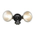 Halo Black Twin Security Flood Light