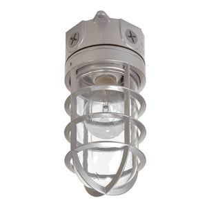 Halo 100-Watt Outdoor Vapor Tight Light With Cage