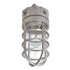 Halo 100-Watt Outdoor Vapor Tight Light With Cage