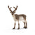 Schleich Wild Life Reindeer Toy