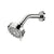 Moen Ignite 5 Function Fixed Showerhead