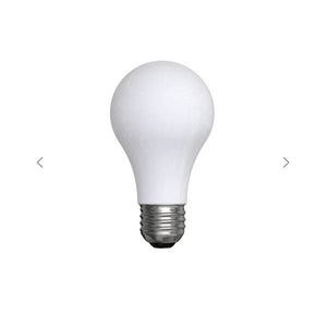 GE Classic Daylight 75 Watt Replacement A19 LED Bulb 2-Pack