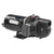 Wayne 3/4 HP Cast Iron Shallow Well Jet Pump