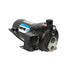 Wayne Cast Iron Convertible Well Jet Pump