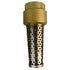 Eco-Flo 1"  Brass Foot Valve