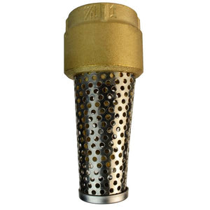 Eco-Flo 1-1/4" Brass Foot Valve