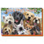 Leanin Tree Greeting Cards Assortment Pack