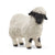 Schleich Valais Black-Nosed Sheep
