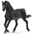 Schleich Arabian Stallion