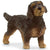 Schleich Wire-Haired Dachsund