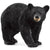 Schleich American Black Bear