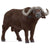 Schleich African Buffalo