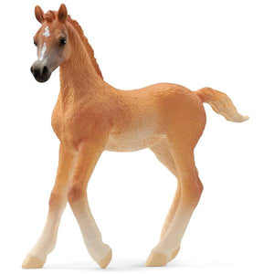 Schleich Arabian Foal