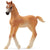 Schleich Arabian Foal