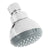 Homewerks Worldwide Chrome Single Shower Head