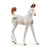 Schleich Marwari Foal Figurine