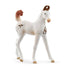 Schleich Marwari Foal Figurine