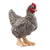 Schleich Plymouth Rock Chicken Figurine