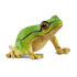 Schleich European Tree Frog Figurine