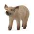 Schleich Mangalica Piglet Figurine