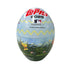 Topps Baseball Series1 Spring Tin