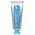 Aquatic Mint Toothpaste (Travel Size)