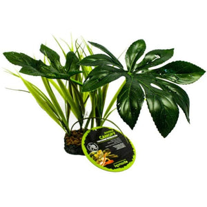 Komodo Jungle Canopy Terrarium Plant - 1 count