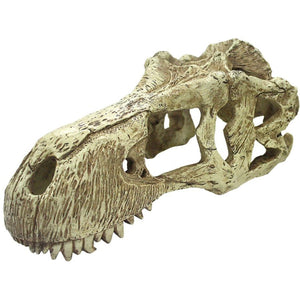 Komodo T-Rex Skull Terrarium Decoration - X-Large - 1 count