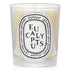 Scented Candle - Eucalyptus