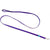 Coastal Pet Nylon Lead - Purple - 6' Long x 5/8