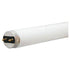 GE 18-Watt 24" Garage and Basement Cool White T8 Light Bulb