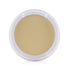 Lightful C_ Natural Silk Powder Foundation SPF 15 Refill - # NC15