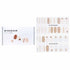 Nail Sticker (Assorted Colour) - # Eating Squirrel Nail