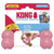 KONG Puppy KONG Goodie Bone - Small Goodie Bone