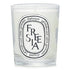 Scented Candle - Freesie