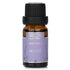 Fragrance Oil - # Lavender
