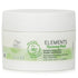 Elements Renewing Mask