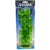 Marina Aquascaper Moneywort Plant - 12