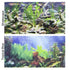 Penn Plax Double-Back Aquarium Background - Tropical Blue / Shalescape - 24" Tall x 48" Wide - (Fits 45-120 Gallon Tanks)